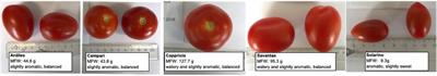 The Bacterial Microbiome of the Tomato Fruit Is Highly Dependent on the Cultivation Approach and Correlates With Flavor Chemistry